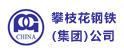 郴州攀枝花鋼鐵集團(tuán)公司
